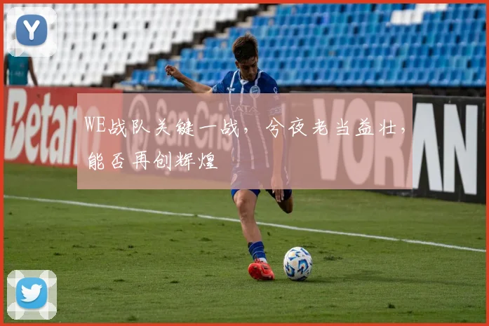 WE战队关键一战，兮夜老当益壮，能否再创辉煌